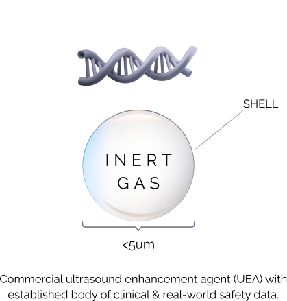 Therapeutic Ultrasound