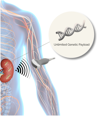 Therapeutic Ultrasound